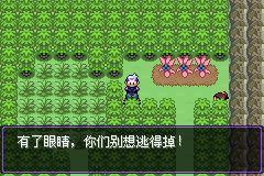 初次尝试：详细指南解析《口袋妖怪漆黑的魅影》一周目攻略和通关技巧